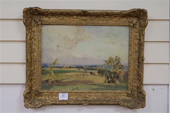 Freda Marston, oil on panel, extensive landscape, label verso, 30 x 40cm
